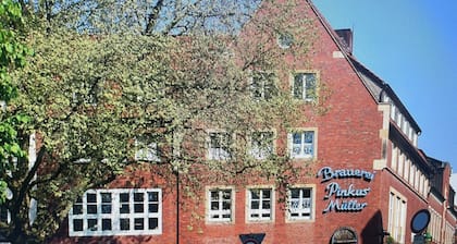 Agréable, confortable et calme appartement de 2 pièces à Münster. Décoré avec amour
