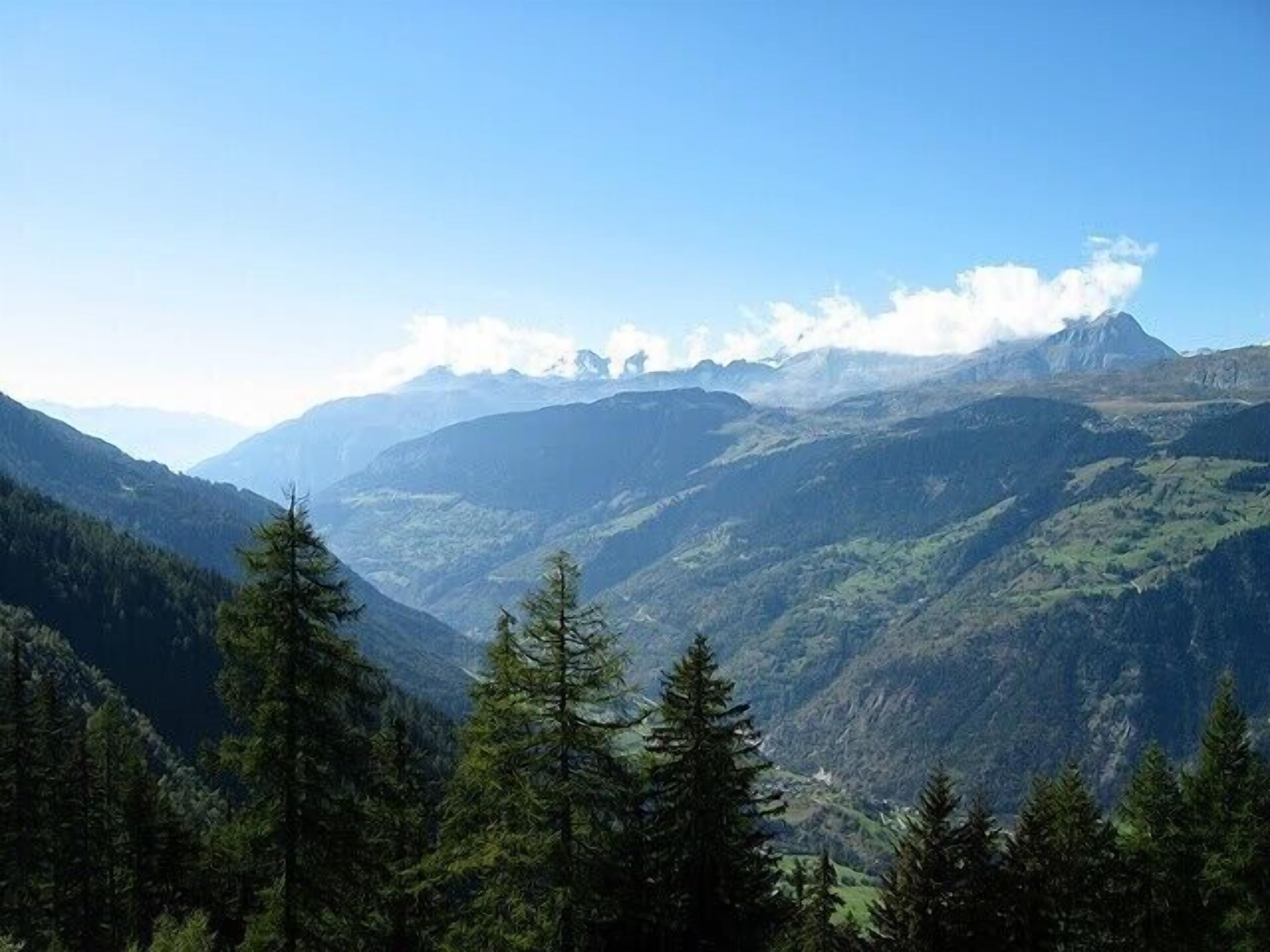 Un paisaje montañoso con bosques densos y un cielo despejado.