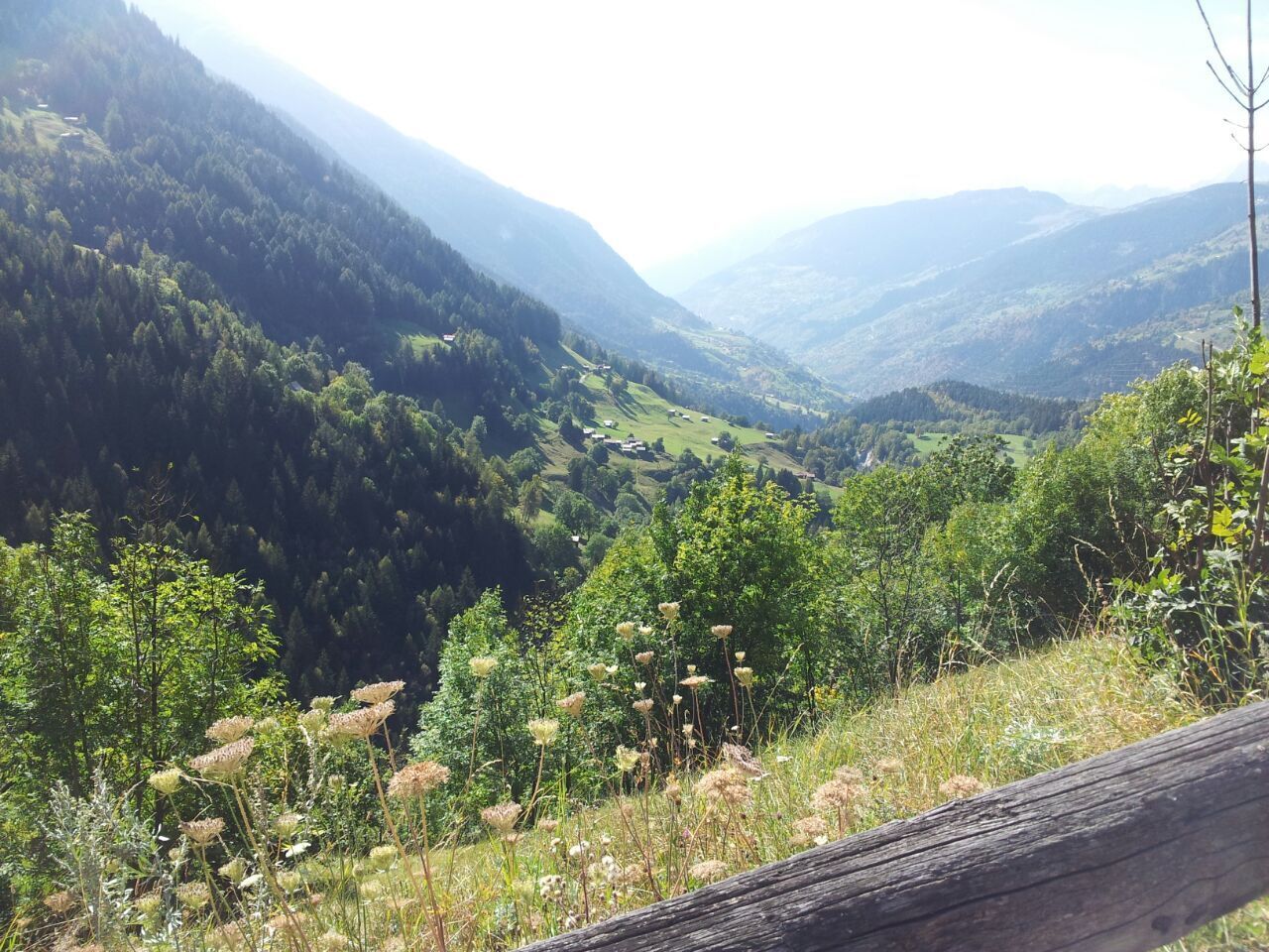 A mountainous landscape with a valley, dense forest, and a wooden fence.