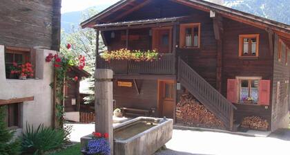 Confortable appartement familial dans un hameau idyllique, animaux acceptés