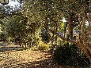 Property grounds - Exceptional architect-designed villa - Dominant view, private pool, absolute calm (Ceyreste)
