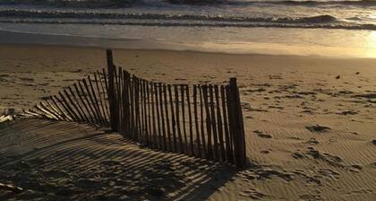 Apartment / Sudio 3 *** Alakerta, 400 m Ranta Royan Hiljaisessa puistossa