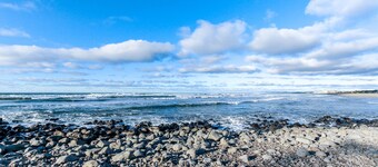 Walkable cottage with sun porch, full kitchen - near beach & town