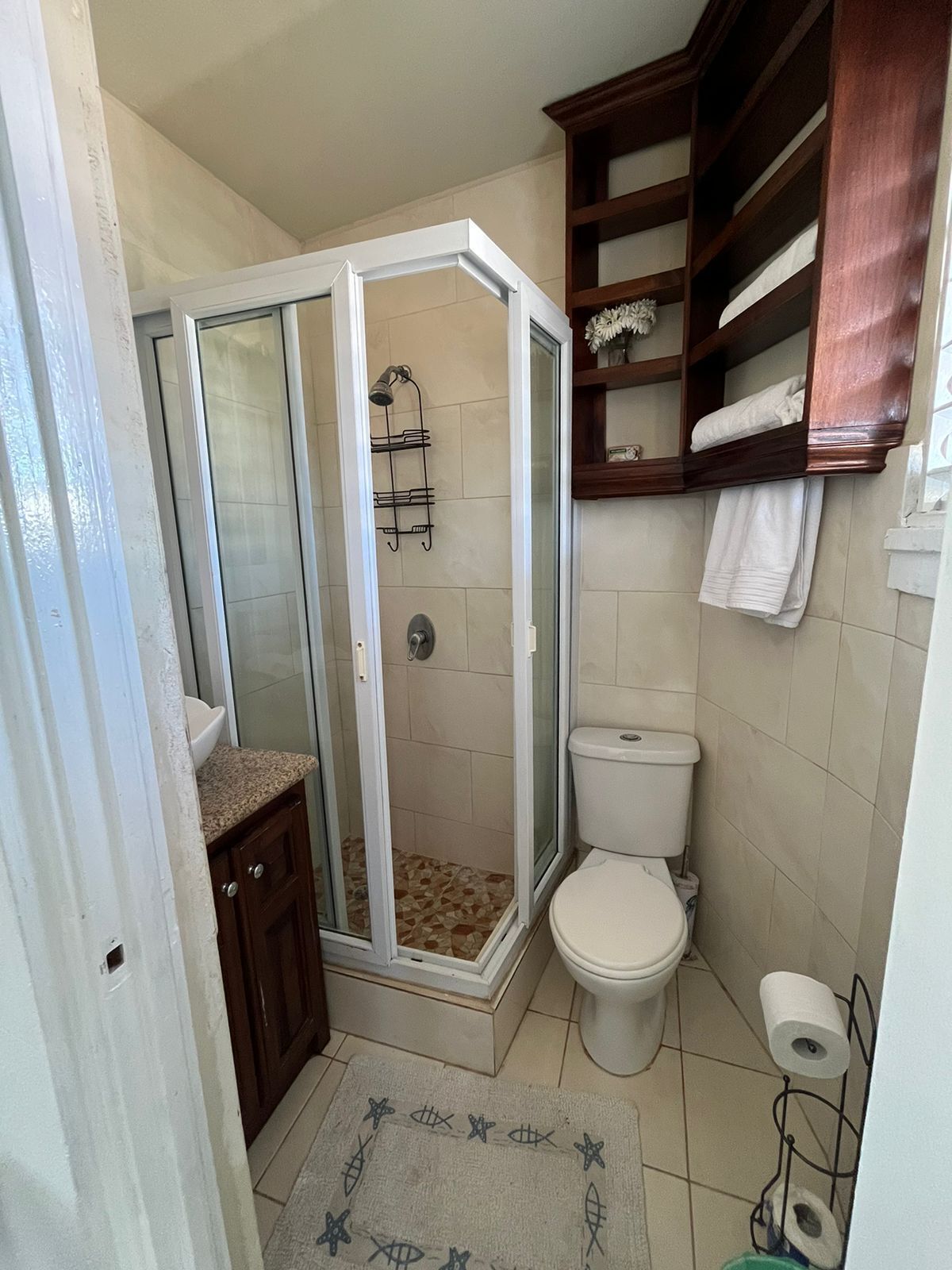 A bathroom with a shower, toilet, and a wooden shelf with towels.