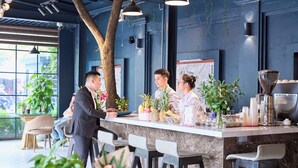 A bar area with a marble counter, modern chairs, and potted plants. -  Le Haute Hotel Hai Phong (Hai Phong)