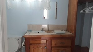Ein Badezimmer mit einem Holzlaufstück, einem Waschbecken, einem Spiegel und einer Toilette.