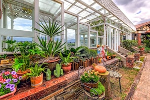 Garden - Oncoming Luck Villa (Ren'ai)