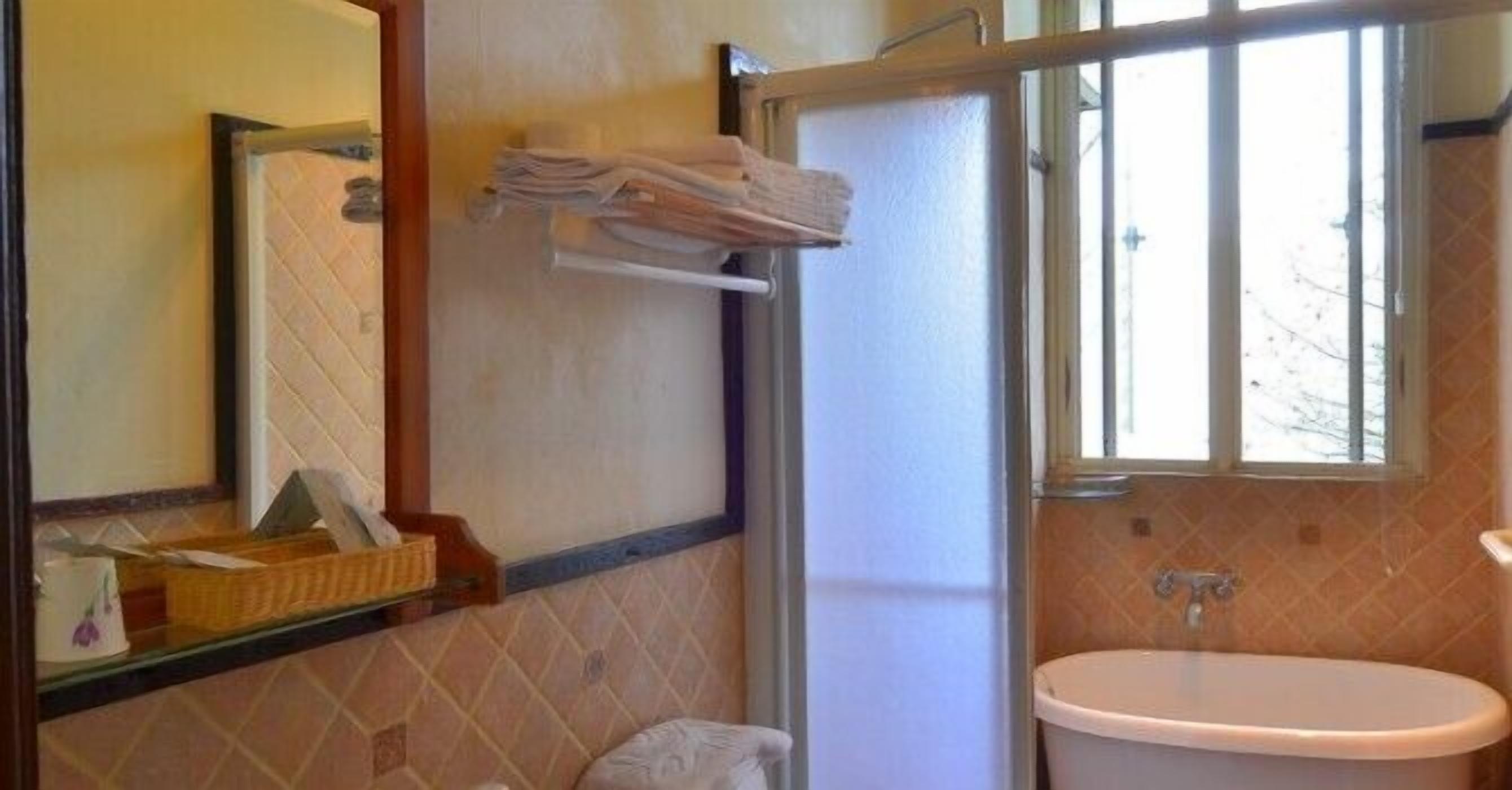 A bathroom with a shower, a sink, and a mirror.