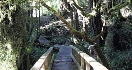 Oceanside Wohnung am Whiskey Landing Whiskey Dock Zugang und neben dem Ucluelet Aquarium! Schläft 4