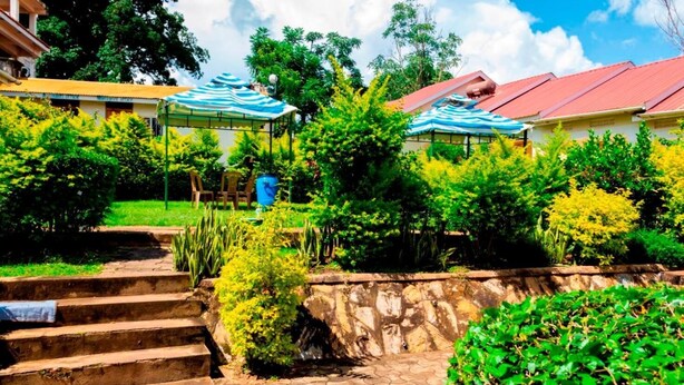 A garden area with steps leading to a covered seating area, surrounded by lush greenery and a stone wall. - Kijungu Hill Hotel (Hoima)