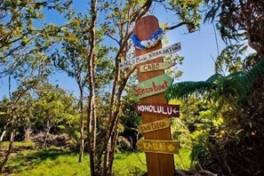 Property grounds - Tiki Tiny House at Volcano, HI (Volcano)
