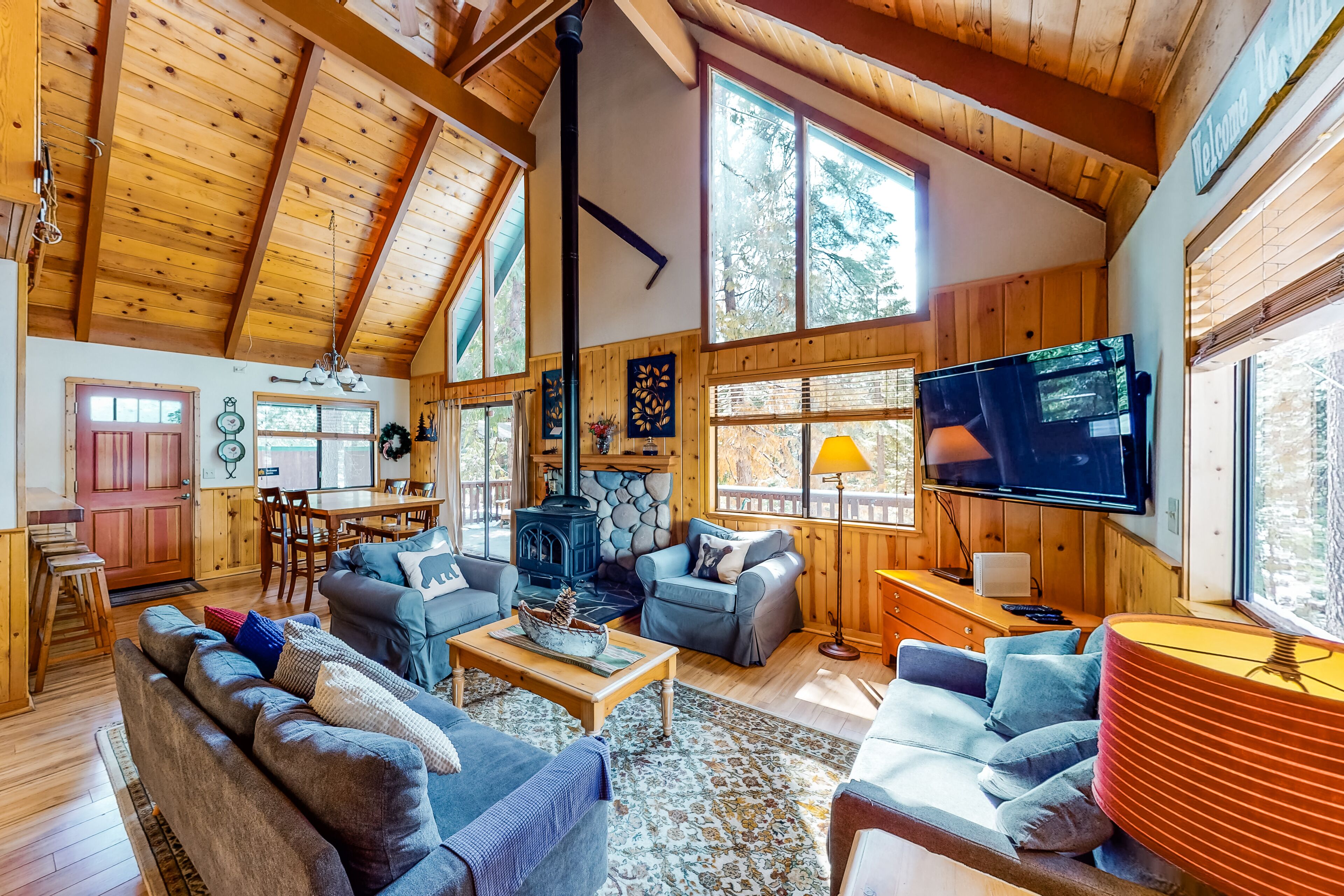 Televisión, chimenea, videojuegos y reproductor de DVD 