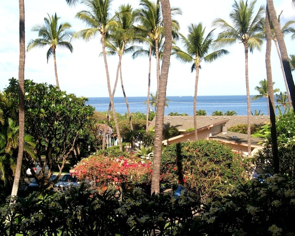 A tropical resort with palm trees, a view of the ocean, and a garden with red flowers.