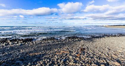 Dog-friendly cottage with great location, cozy interior, WiFi & washer/dryer