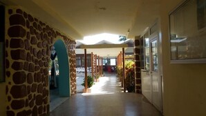 A corridor with a stone wall on one side and a glass door on the other. There are potted plants along the corridor. - Hotel Al Amal (Mutsamudu)