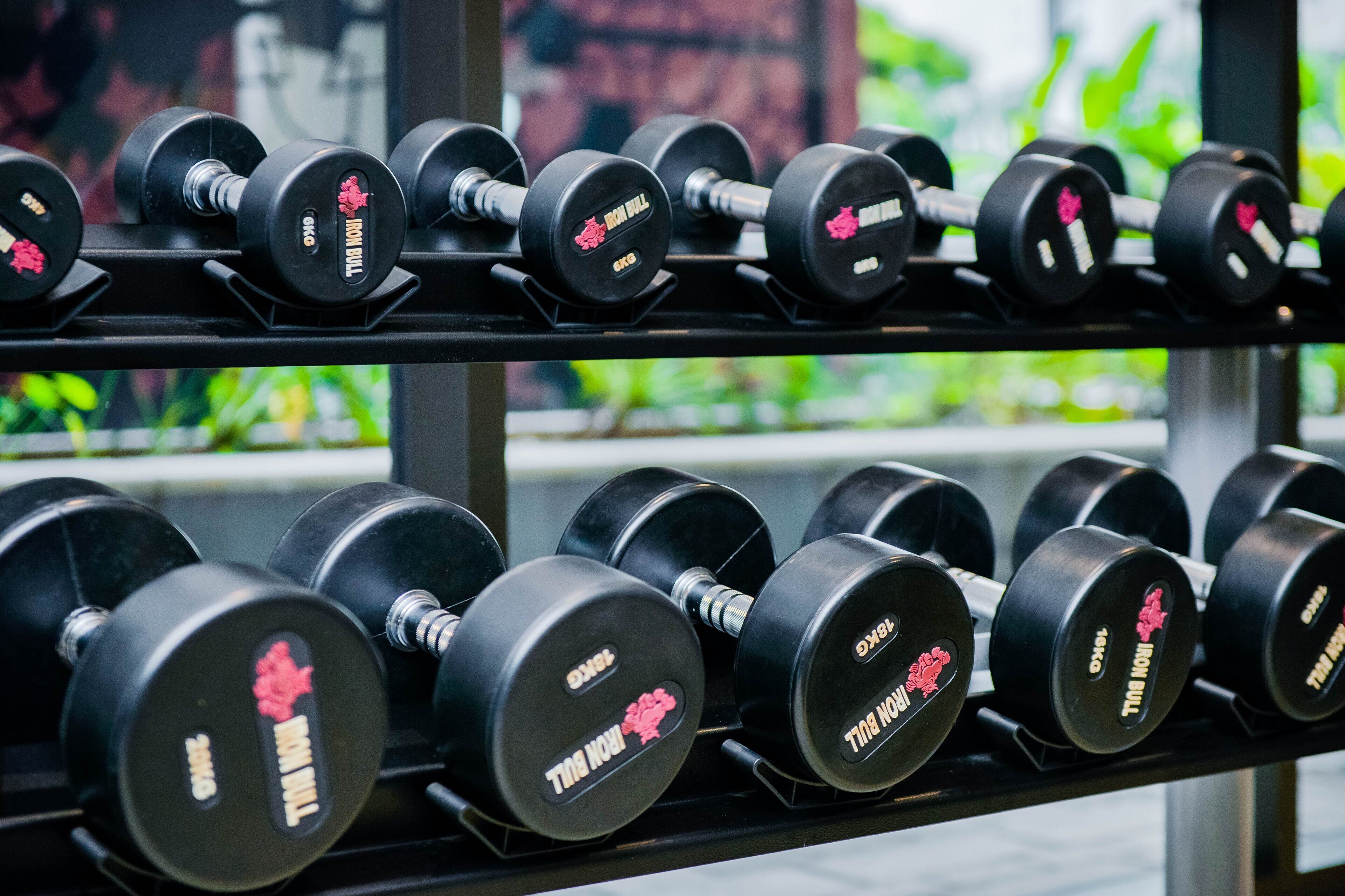 A rack of black dumbbells with red logos, arranged on a black shelf.
