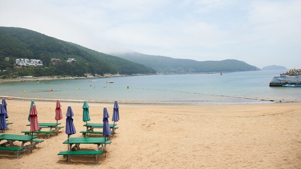 A beach with green picnic tables and umbrellas, a calm sea, and hills in the background. - Sand Beach Pension (Geoje)