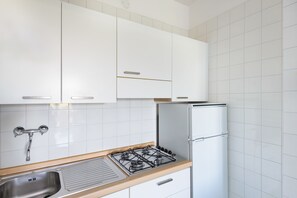Großer Kühlschrank, Mikrowelle, Herdplatte