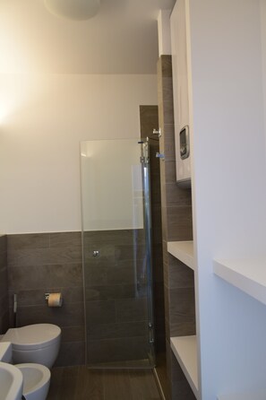 A modern bathroom with a glass shower enclosure, a toilet, and a sink.