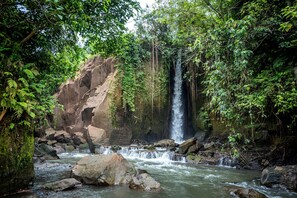 A natural waterfall surrounded by dense foliage and rocky terrain. - Liam Private Villa (Sukawati)
