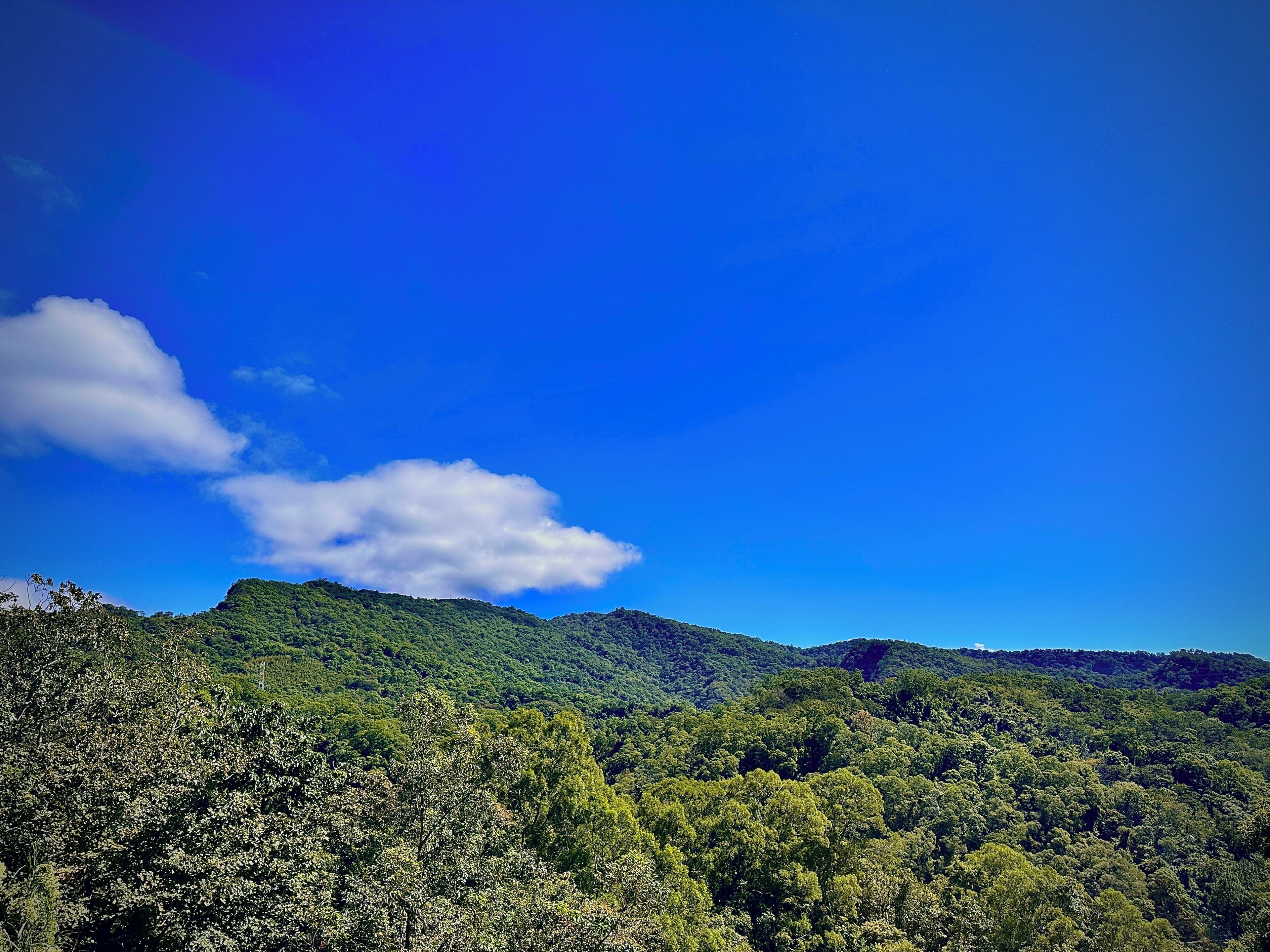 Paisagem montanhosa com vegetação verde densa sob um céu azul límpido.