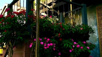 Terassi/patio