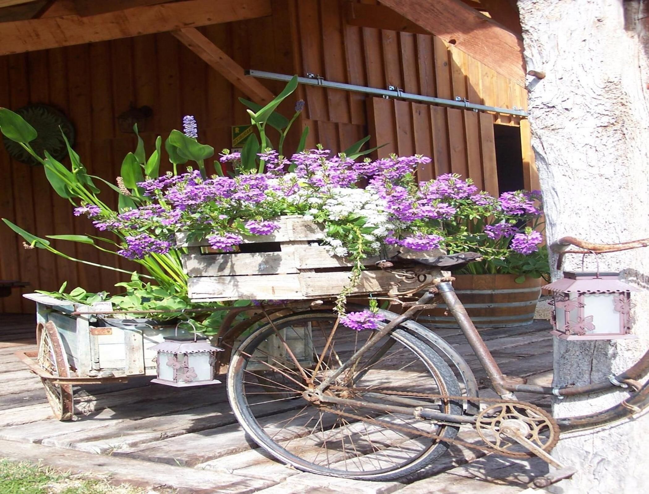 Terrein van de accommodatie