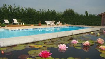 Seasonal outdoor pool, pool umbrellas, sun loungers