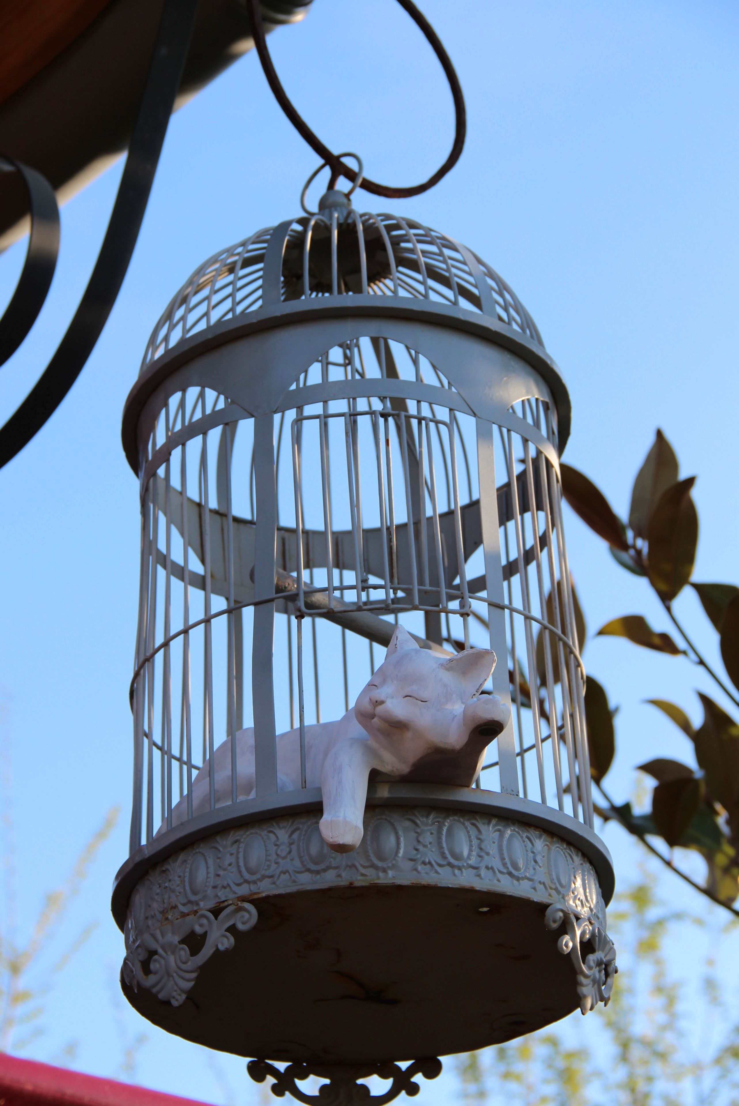 Une cage à oiseaux contenant un chat, suspendue à l’extérieur.