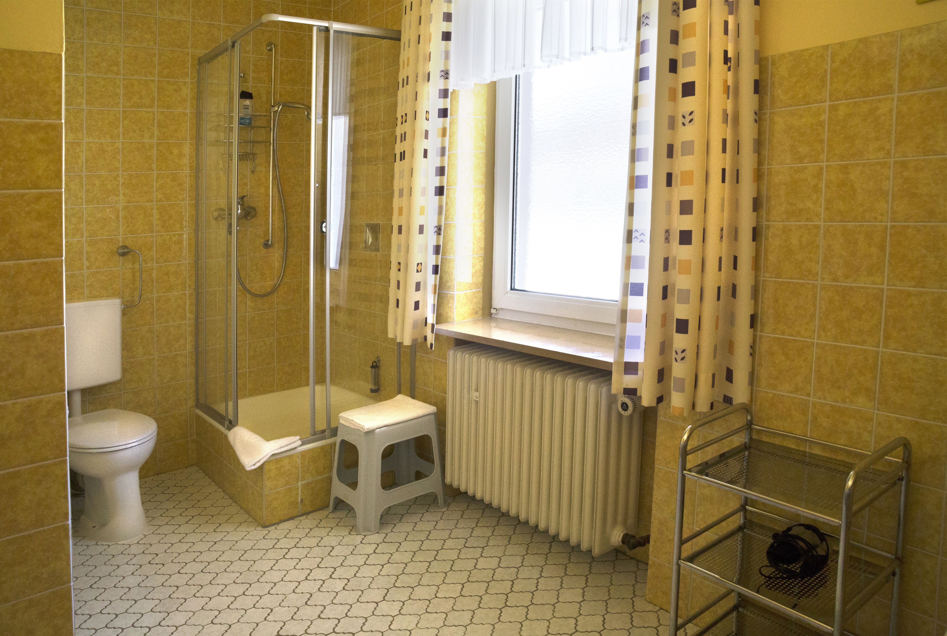 A bathroom with a shower, toilet, and radiator.