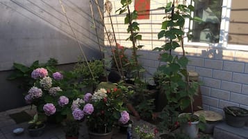 Vườn