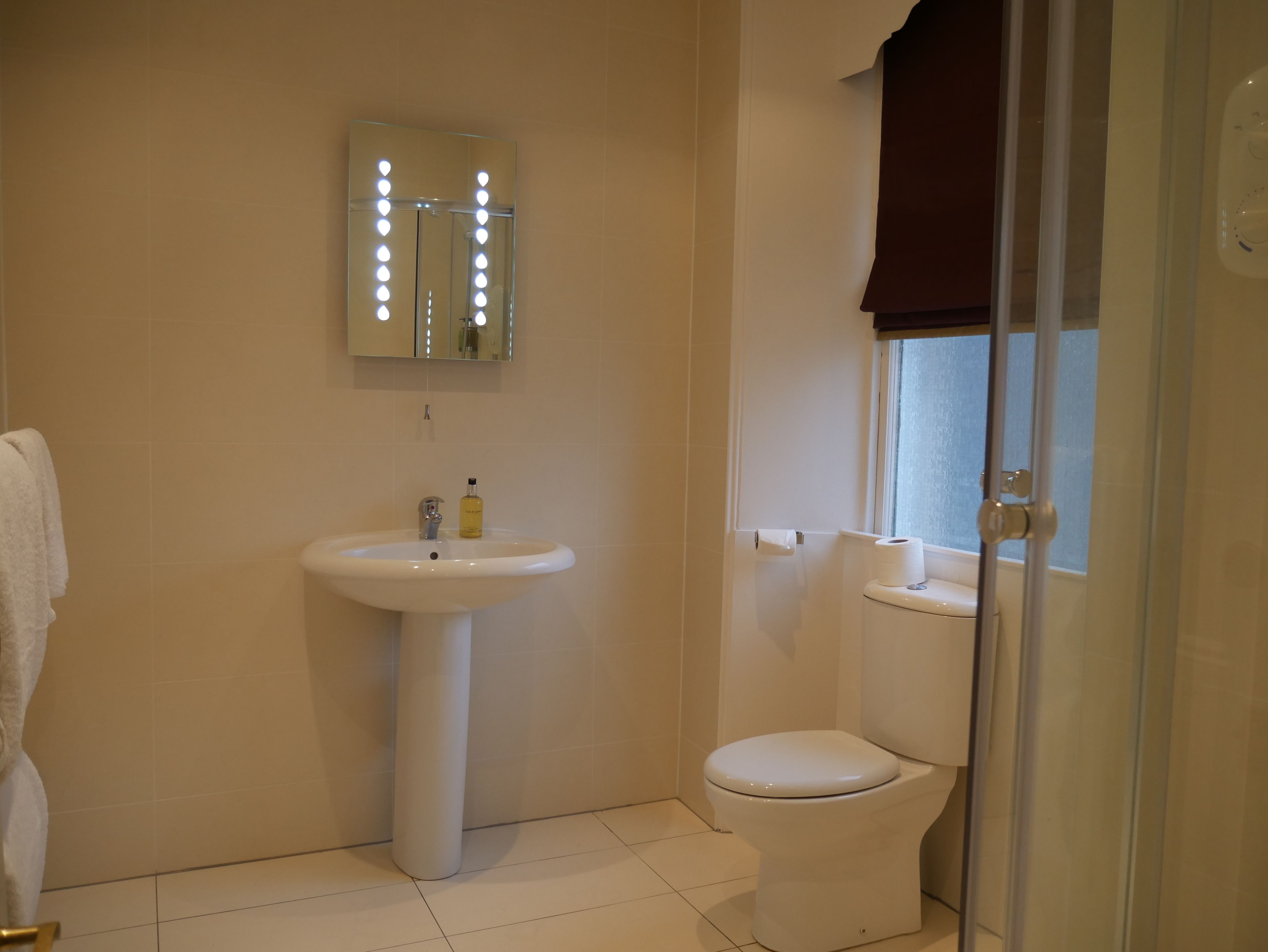 A bathroom with a pedestal sink, a toilet, and a shower enclosure.