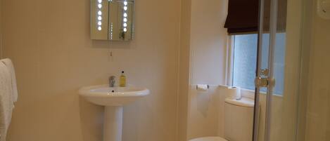 A bathroom with a pedestal sink, a toilet, and a shower enclosure.
