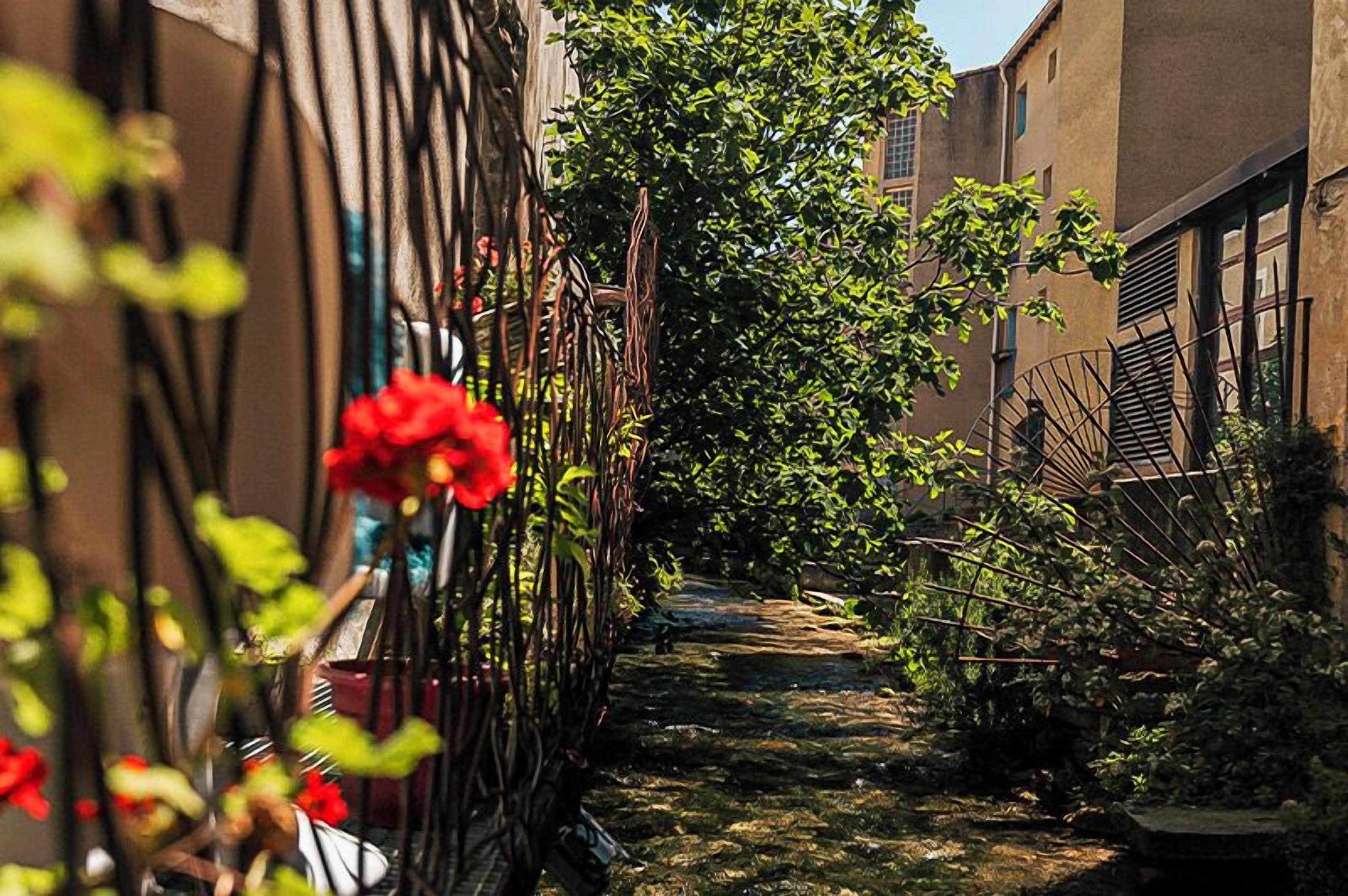 Une ruelle étroite, dallée de pierres, bordée d’immeubles dotés de balcons en métal et de plantes grimpantes.