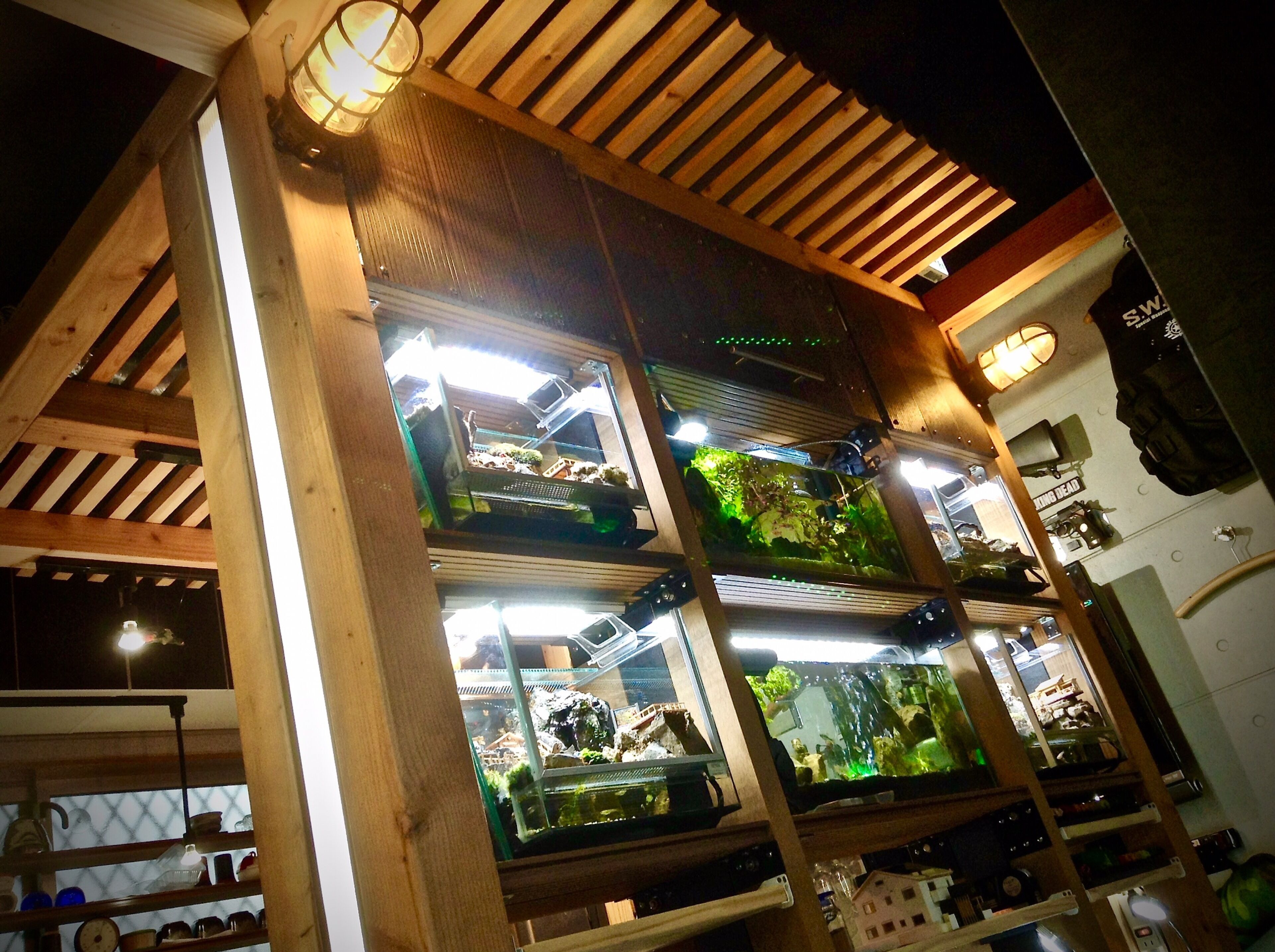 A multi-level aquarium with various fish tanks, wooden beams, and a 'Walking Dead' themed wall.
