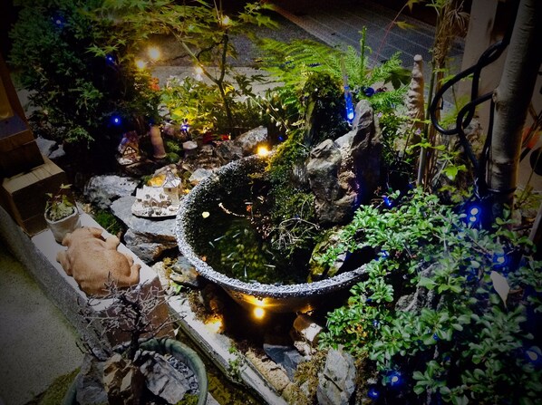 A garden with a pond, rocks, and various plants.