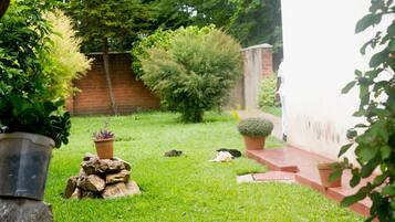 A well-maintained garden with a variety of plants, a small rock formation, and a brick wall in the background.