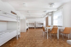 Iron/ironing board, free WiFi - C - Punkt Hostel (Ljubljana)