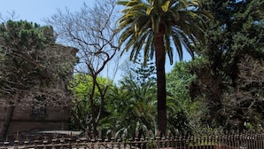 A fenced garden area with a variety of trees, including a tall palm tree, and a building in the background. - Ecozentric (Barcelona)