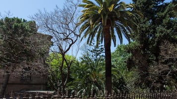 Parco della struttura