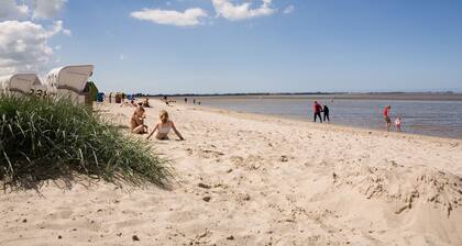Traberhof - Landurlaub in seiner schönsten Form - freies Reiten inbegriffen - Hunde willkommen - Sauna im Haus - Kanuverleih - tolle Radwege - Deich in Sichtweite