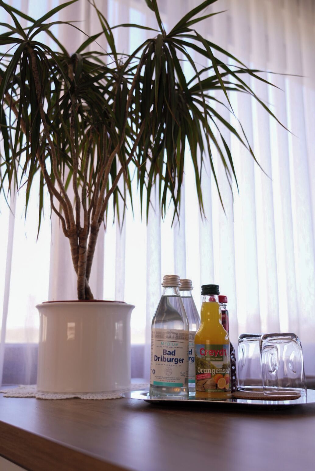 Una planta en maceta, una botella de Bad Driburger, una botella de jugo de naranja y dos vasos sobre una mesa cerca de una ventana con cortinas traslúcidas.