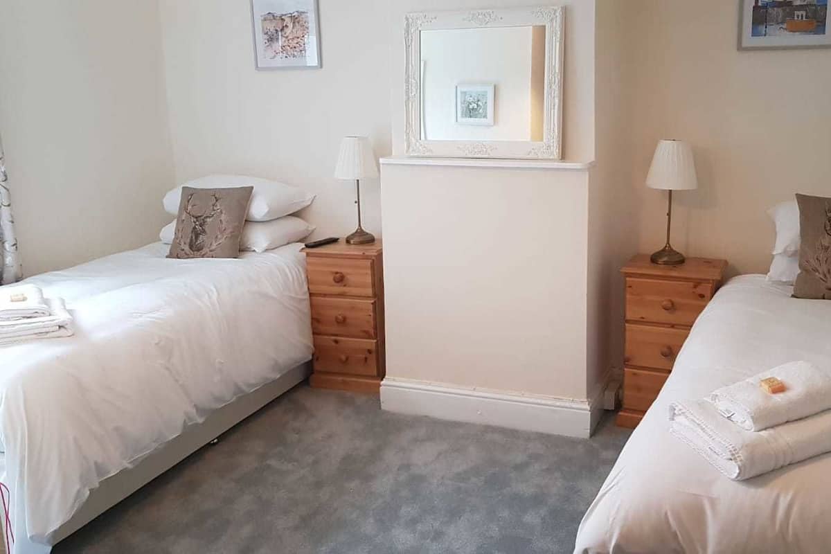Standard Twin Room (Room 3) | Desk, iron/ironing board, WiFi (free), bed sheets