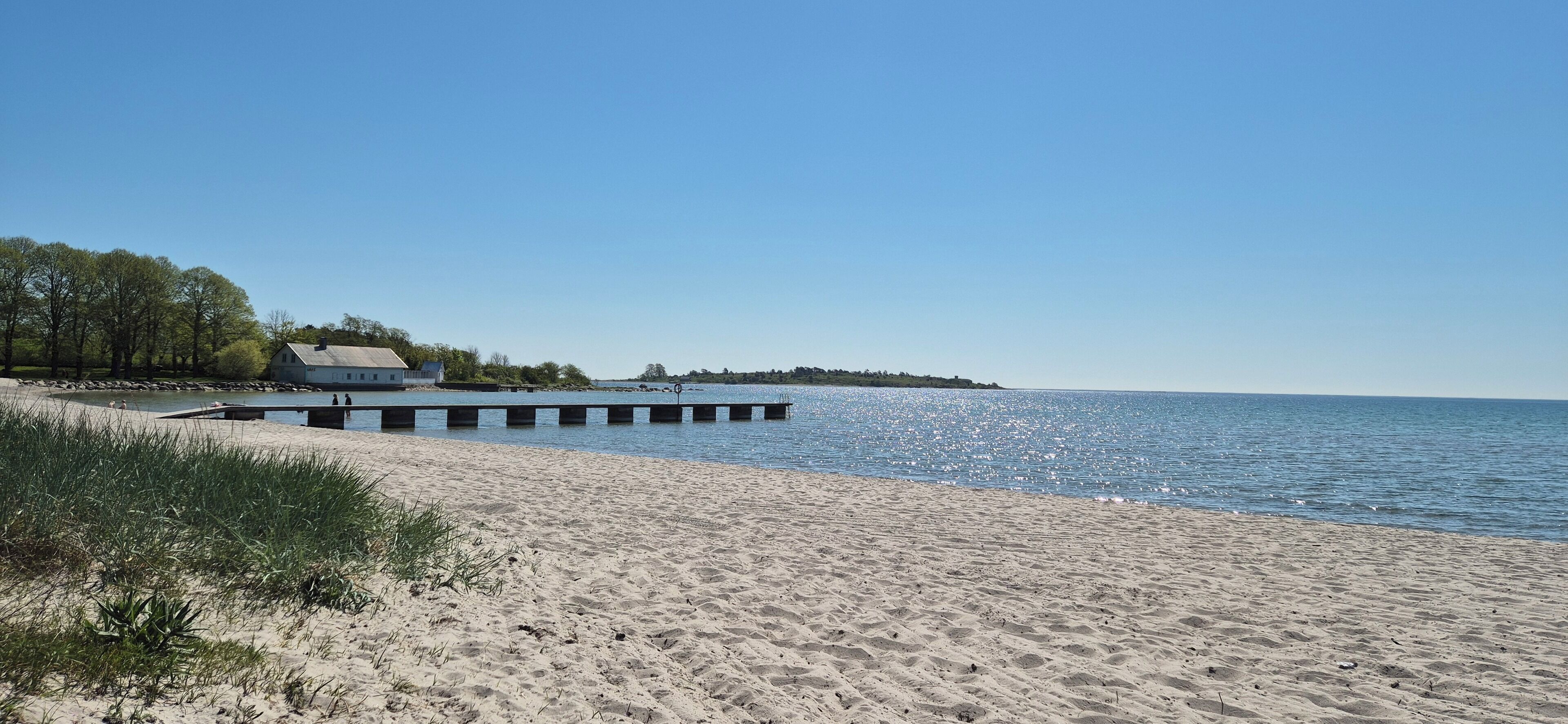 靠近海滩、白沙