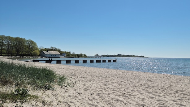 Een zandstrand met een pier die in het water uitloopt, een gebouw met een wit dak en bomen op de achtergrond.