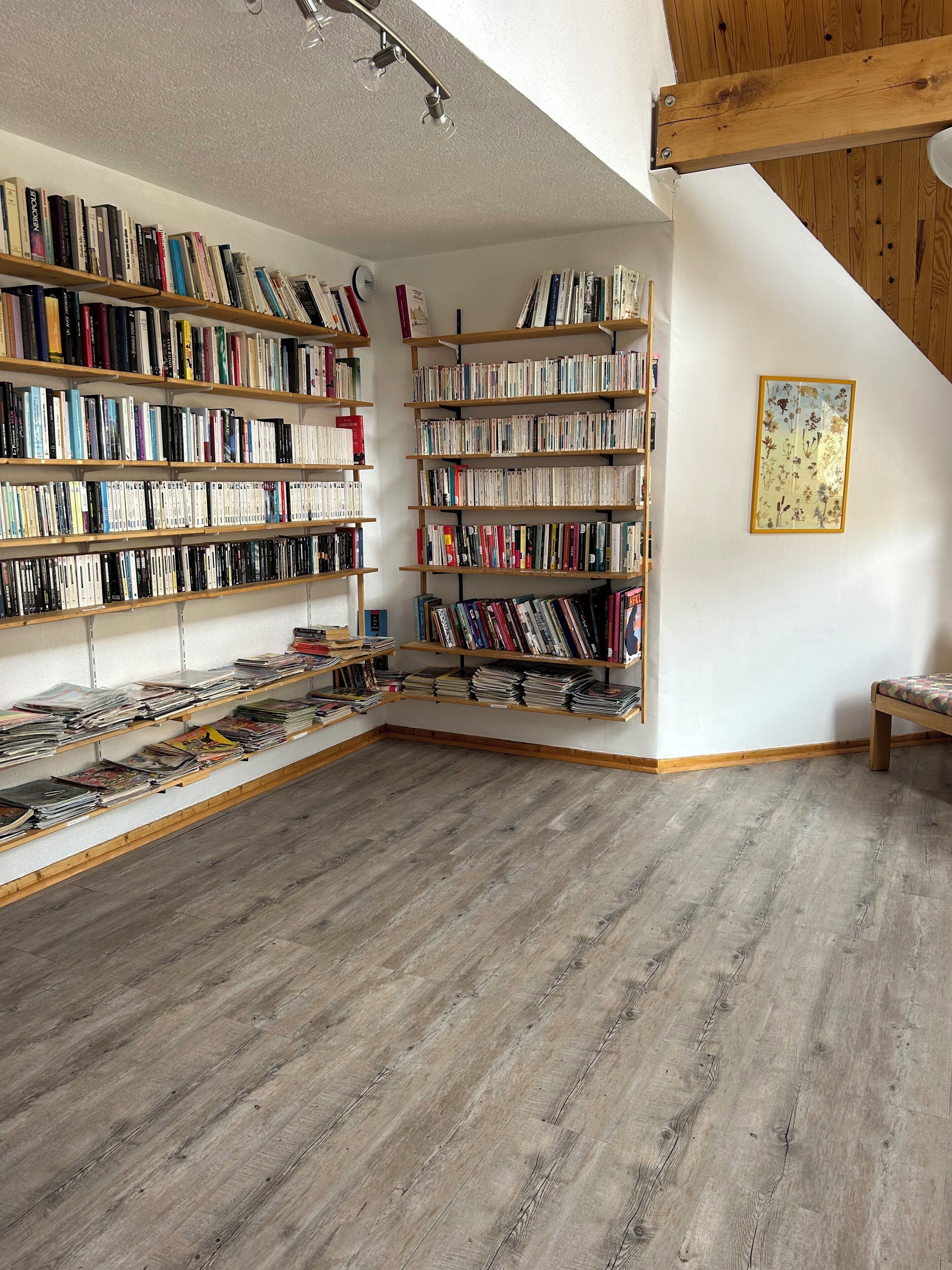 Eine Bibliothek mit Bücherregalen, Holzboden und einer Deckenleuchte.