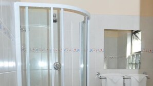 Standard Double Room | Bathroom shower - Bhedu Berry Lodge (Bulawayo)
