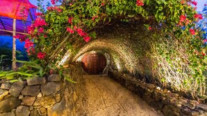 Een tunnelachtige constructie met een stenen muur aan één kant en een houten deur aan het einde.