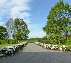 Ein gepflasterter Weg, gesäumt von weißen blühenden Sträuchern und Bäumen, führt in einen grünen Park.
