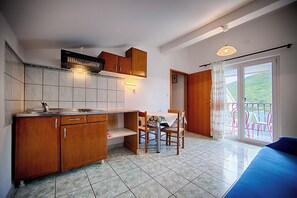 Apartamento (Apartments Malo Lago - One-Bedroom Ap) | Cocina básica privada | Frigorífico, placa de cocina, hervidor eléctrico y tostadora